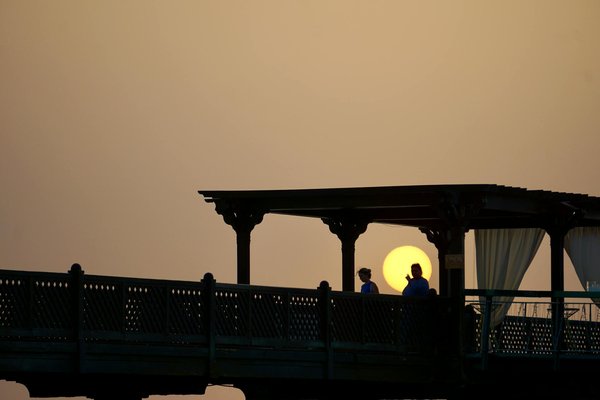 Quels sont les meilleurs endroits pour observer les oiseaux migrateurs en Espagne?